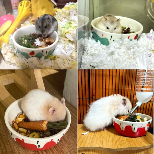 2 Pack Ceramic Guinea Pig Food Bowl Hamster Food Bowls for Gerbil Rat - color: Red + Blue