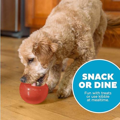 Outward Hound by Planet Dog Lil' Snoop Dog Toy – Treat‑Dispenser Puzzle Ball, Interactive Slow Feeder, Small to Medium Dogs, Bouncy & Mint-Infused, Red, 3.9" - color: Red Lil Snoop