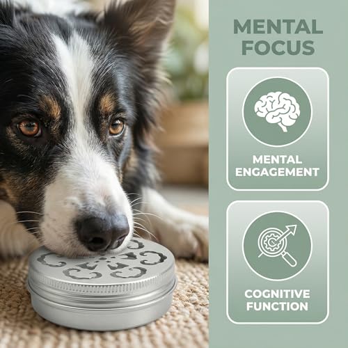 6 Packs Dog Scent Training Kit Nosework Containers for Dogs Aluminum Boxes Nose Skent Work Tins Supplies Canine Odor Ideal and Skill Development