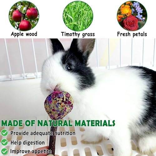 kathson 16PCS Rabbit Timothy Hay Treats Sticks,Interactive Bunny Lollipop Chew Sticks,Natural Guinea Pigs Chewing Treats Molar Teeth Toys for Small Animals,Chinchilla,Hamster,Gerbil - color: 16