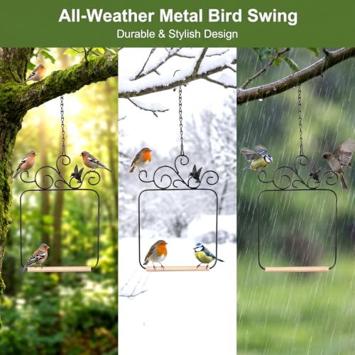 Hummingbird Swings and Perches 11.6x8.1in Humming Bird Swing