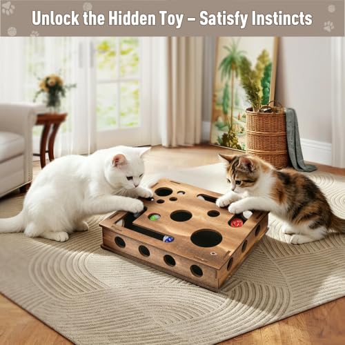Zayeemi Cat Scratching Educational Box Wooden Interactive Toy Spring Feather Teasing Cat Wand Bell Ball for Indoor Cat Fun