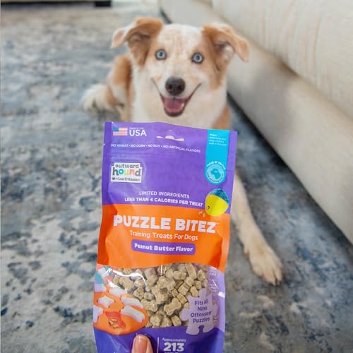 Outward Hound Nina Ottosson Puzzle Bitez Dog Treats, Peanut Butter, 7.5 oz - size: 4.69 Pound (Pack of 1), style: Peanut Butter