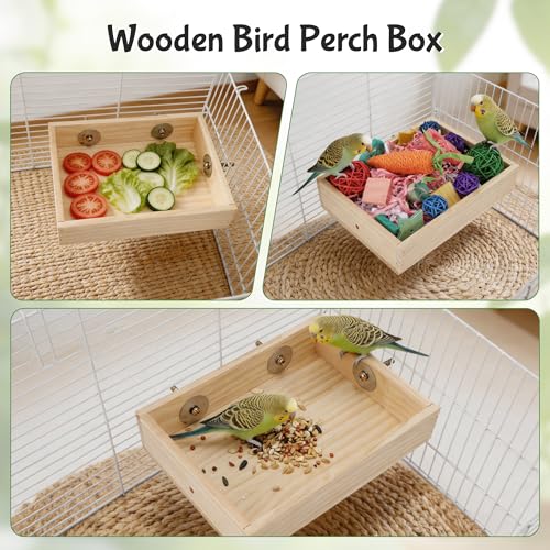 Bird Foraging Toys Box, Wooden Foraging for Birds, Colorful, M - color: Wood Color, Colorful, size: Medium