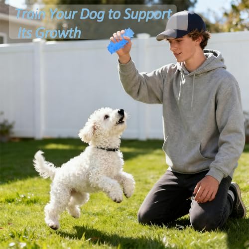2 Pack Dog Chew Toys, Tough Puppy Teething Toys for Puppies, Soft Foaming Rubber Toys for Small Medium Breed (Blue)