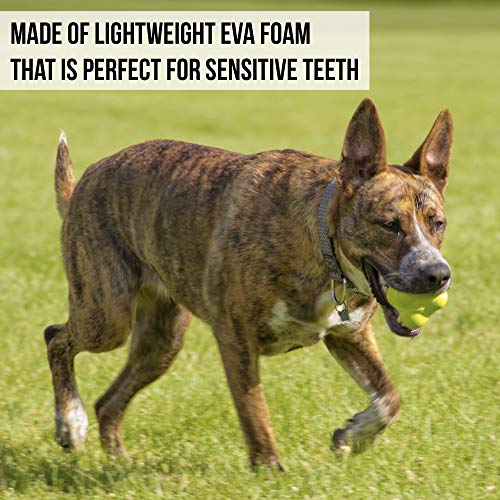 Hyper Pet Fetching Dog Toys - Throwing Bumpy Ball Dog Toy Made with EVA Foam - Lightweight & Floats on Water - size: One Size, style: Bumpy Ball