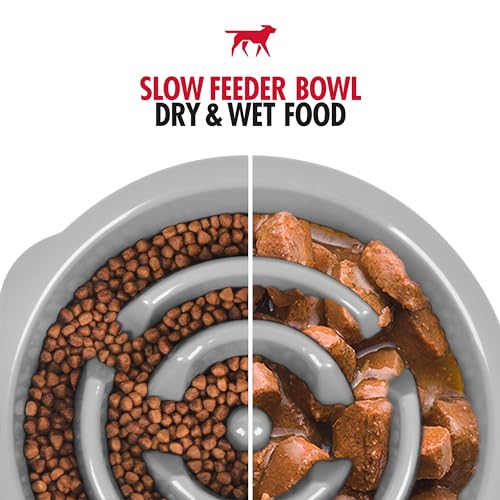 Tuff Pupper Slow Feeder Insert Bowl | Puzzle Maze Slows Down Eating | Elevated Feeder Tray Bowls | Standalone Dog Bowl | Pet Bowls Insert | Easy Clean Dishwasher Safe (2 Cups - Fits 7.5-8 Inch Hole) - size: 2 Cup - 7.5-8 Inch Feeder Holes