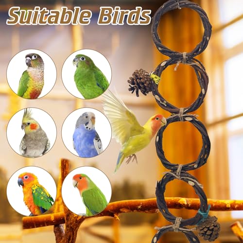 BNOSDM Bird Swing Rings Toy Wood Parrot Perches Natural Climbing Ladder