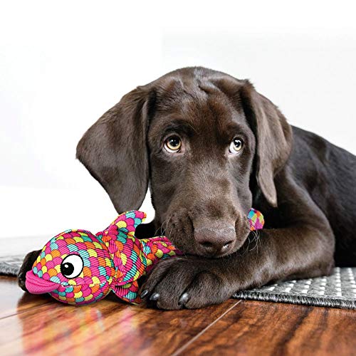 KONG Wubba Finz - Dog Toy for Tug of War & Fetch - Dog Supplies for Puppy & Dog Playtime - Outdoor & Indoor Dog Toy (Pink, Small) - color: Pink, size: Small