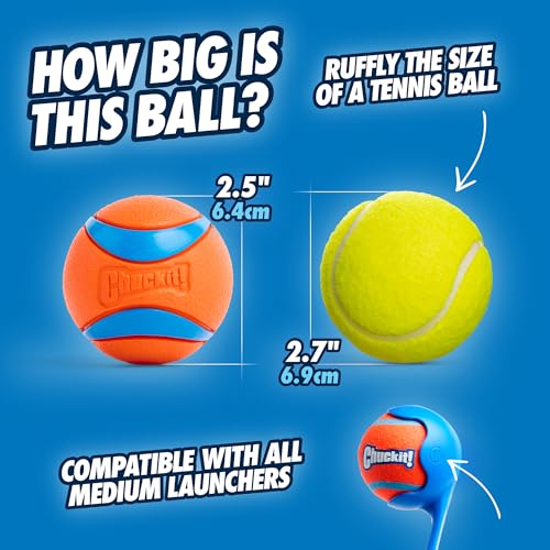 Chuckit! Ultra Ball Toy, Medium 2.5in for Breeds 20-60lbs, 1 Pack - size: Medium (1 Pack), style: Ultra