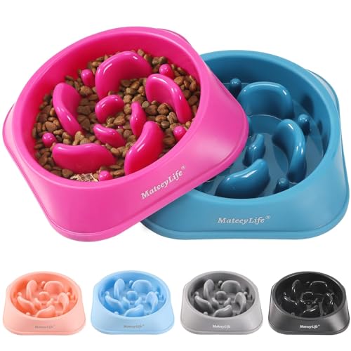 MateeyLife 2-Pack Slow Feeder Dog Bowls, 2 Cups, Dog Puzzle Feeder Bowl - color: C-Purple&DarkBlue, size: Medium