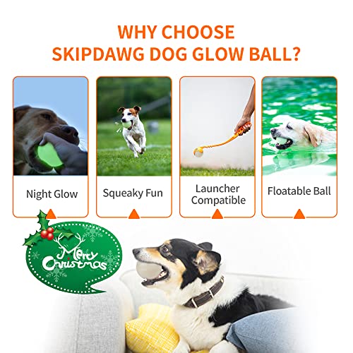 SKIPDAWG Interactive Dog Glow Balls, Rubber Balls Light Up in the Dark, Dog Toys Squeaky Ball Durable TPR Light Weight, Bouncy Glowing Ball Size 2.5 Inches, 2 Pack