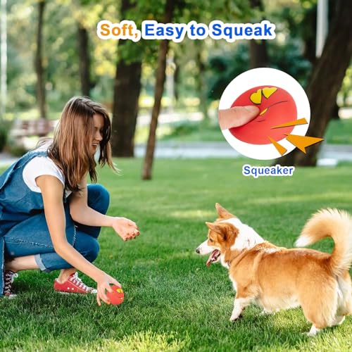 Dog Squeaky Toys Latex Squeak Balls Rubber Soft Chewing Fun Smile Toys Interactive Fetch Play Dog Balls for Puppy Small Pet Dogs (3 PCS)…
