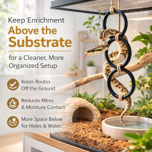 2PCS Snake Climbing Rings for Ball Python - Enrichment Toys for Corn Snake