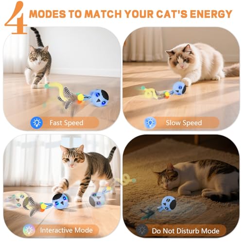 Cat Ball Toy, Upgraded Smart Motion Sensor Moving Ball with 3 Speed Modes & 4 Sounds, Interactive Toy for Indoor Cats, Motion Activated, Chirping Light, 2 Feather Tails(Blue) - color: Blue