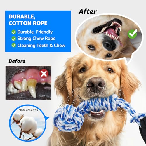 LOOBANI Outdoor Bungee Tug Toy, Interactive Dog Door/Tree Hanging Toys - color: Blue+Orange