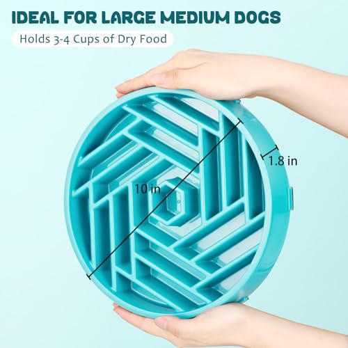 WHIPPY Slow Feeder Dog Bowl, Puzzle Maze Design to Slow Down Eating, 3-Cup Capacity, Anti-Gulping Food Bowl for Medium & Large Dogs,Sky Blue - color: sky blue