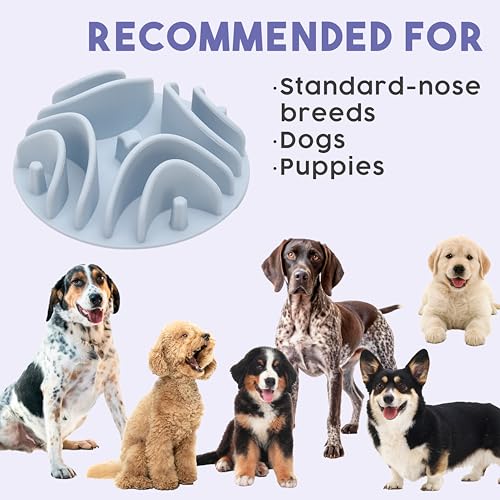 Great Vibes - Silicone Slow Feeder Insert for 6 Inch+ Dog Bowl (Mauve) - color: Mauve