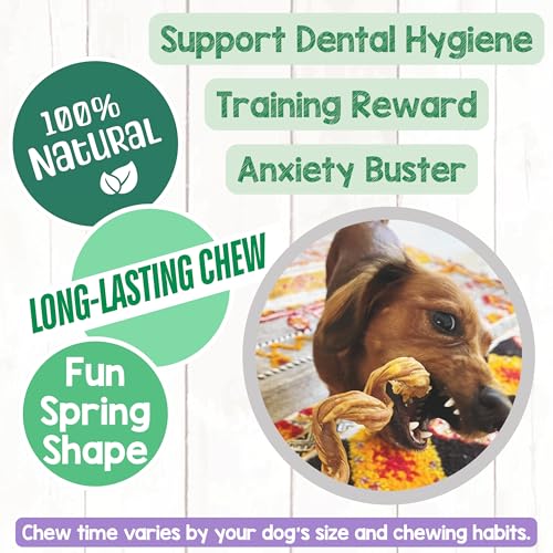 Nature Gnaws Bully Stick Springs 7-8" Rawhide Free Dog Chews, 6 Count - style: 8" Springs
