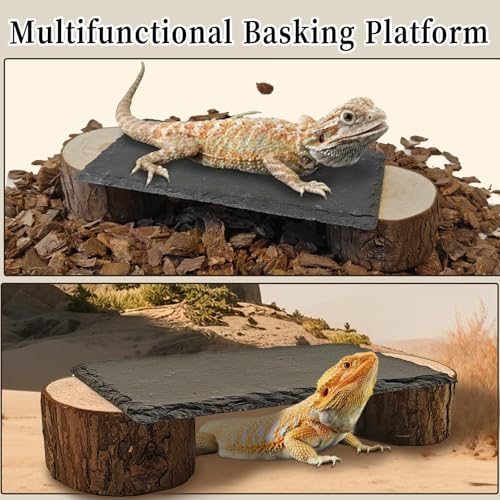 Bearded Dragon Basking Platform,Natural Slate Reptile Basking Rocks,L