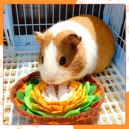 PETKNOWS Rabbit Foraging Mat, Snuffle Puzzle Toy for Small Pets
