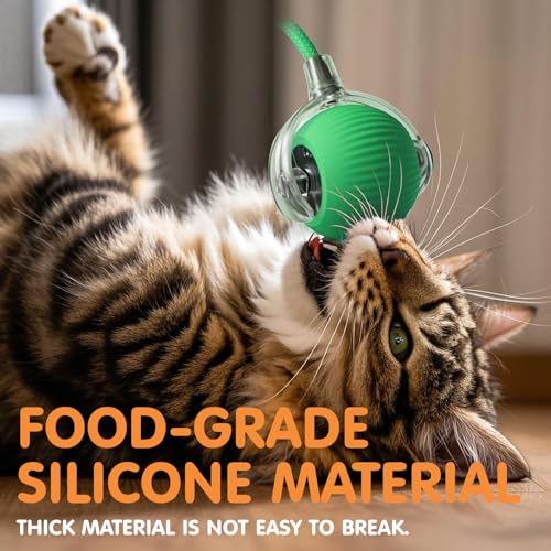 Rocfish Durable Interactive Cat Toys for Indoor Cats (Green, 01) - color: green01, size: 01