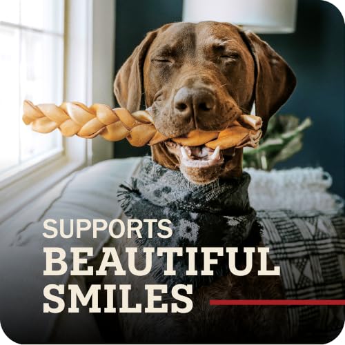 Redbarn Pet Products Collagen Braid Small 3-Count Beef Collagen Chews for Dogs - Joint Health Support with Collagen Peptides, Alternative to Traditional Rawhide - size: 1 Ounce (Pack of 3)