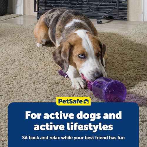 PetSafe Busy Buddy Tug-A-Jug Treat Dispensing Dog Toy, Small