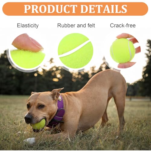 20Pcs Small Tennis Balls for Dogs, 2 Inch Mini Dog Training Tennis Balls
