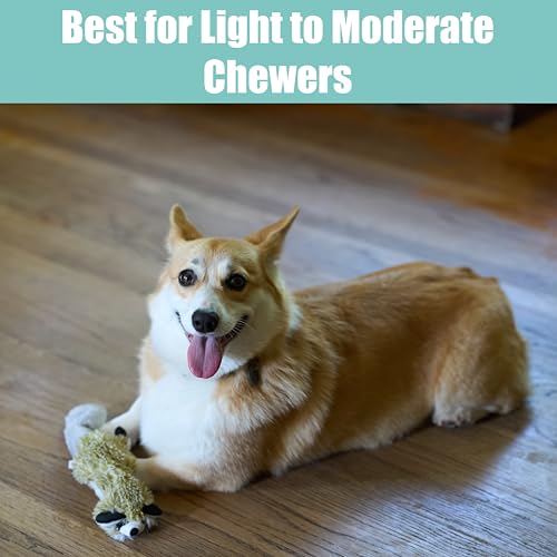 SPOT Skinneeez Raccoon 14 Inch Stuffing-Free Plush Dog Toy – Soft, Mess-Free Toy with One Squeaker for Small & Medium Dogs, Best for Light to Moderate Chewers (Pack of 2) - style: Mini Raccoon