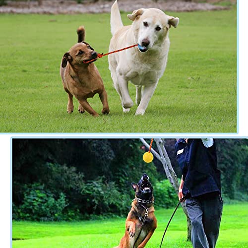 2 Pack Dog Ball, K9 Ball on Rope for Reward, Fetch, Play (7cm) - size: 2.75 in (Bright Color)