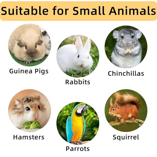 Hamster Toys Box for Chewing&Teeth Grinding Natural Hamster Treats for Chinchilla Rat Hamster Bunny and Other Small Pets (Small) (Pack of 2) - size: Small (Pack of 2)