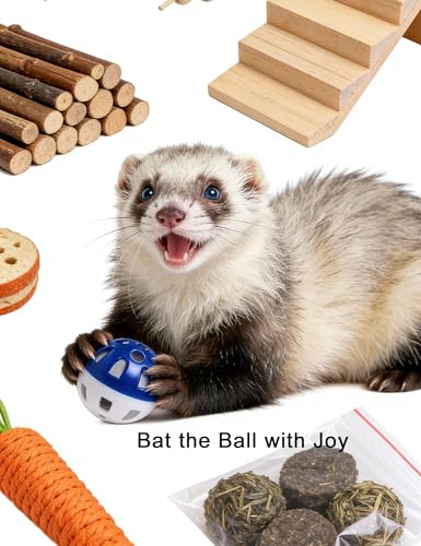 10 Pack Hollow Cutout Bell Play Balls for Ferret, Non Toxic, PP Material