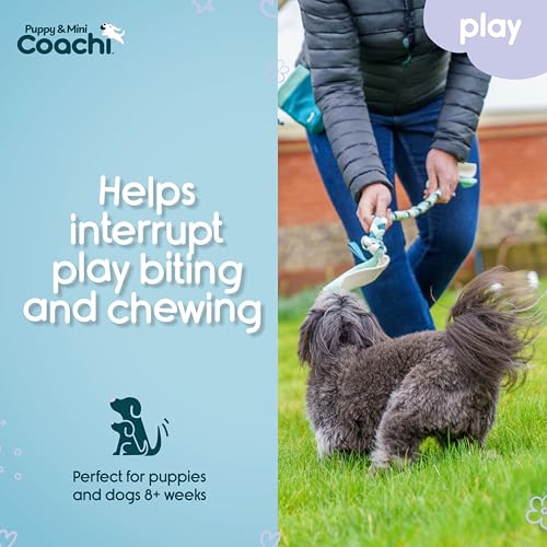 Coachi Puppy & Mini Tuggi Tug - Dog Toy for Tug of War & Play - style: Tuggi Tug