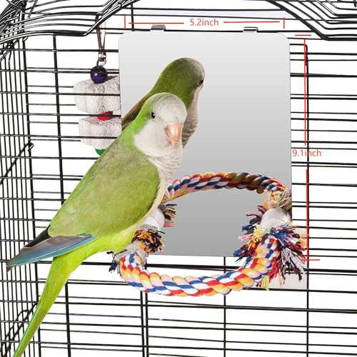 Colorday 7" Bird Mirror with Rope Perch, Medium - size: Medium
