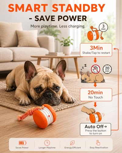 (2 Pack) Interactive Dog Toys for Small Dogs — Boredom Relief & Indoor Enrichment, Automatic Rolling Ball with Rope, Motion Activated Self Moving Dog Toy (Blue + Orange)