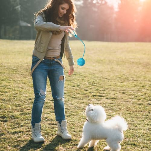 Dog Training Ball on Rope, 2Pcs Dog Rope Toys for Chew Training, Pull Throw and Fetch - size: 2pcs blue