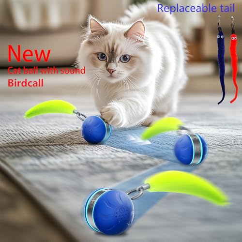 Interactive Cat Toy Ball Automatic Interactive Cat Toys for Indoor Cats with Birdsong 3 Tails 3 Modes Newly Upgraded Speedy 2.0 Tail Cat Toys for Kitten/Small/Medium/Large Cats to Keep Them Busy(Blue) - color: C01-Blue