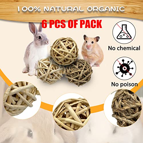 Tfwadmx 6 Pcs Small Animal Chew Ball Toy Rabbit Rolling Activity Play Balls Pet Cage Entertainment Accessories for Hamster Guinea Pigs Gerbil Chinchilla Hedgehog Teeth Grinding Gnawing