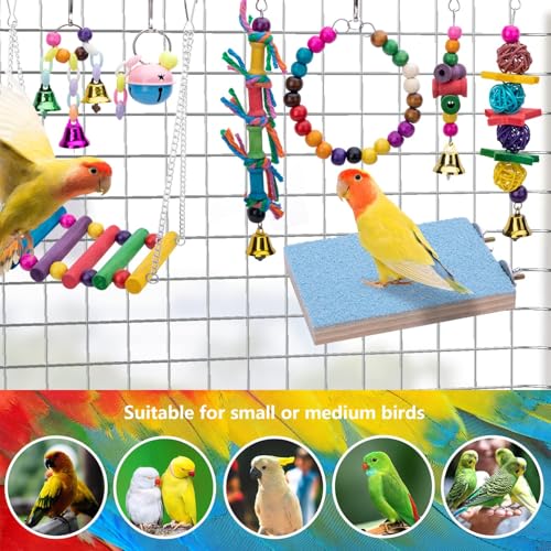 8 Pack Bird Swing Chewing Toy for Cockatiel Conure, Parrot Hammock Bell Toy