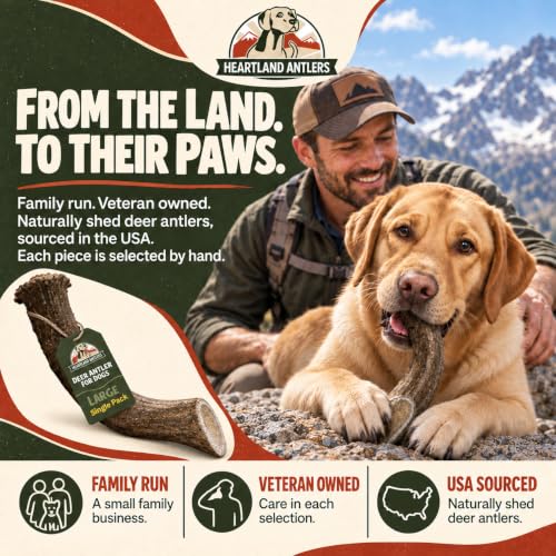 Heartland Antlers Whole Deer Antler Dog Chew for Aggressive Chewers - style: Large (Dogs 45-65 lbs)