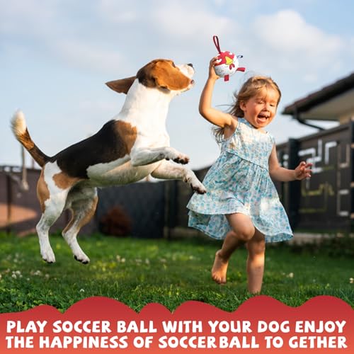 QDAN Small Puppy Dog Soccer Ball with Straps, Durable Herding Toys, 5 Inch - color: Red, size: 5 Inch