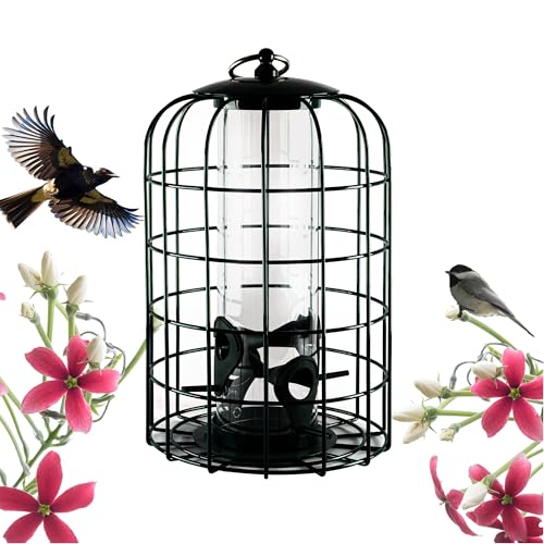 Nature's Rhythm Outdoor Hanging Bird Feeder Cage PC Tube Squirrel Proof Wild Bird Feeder with Large Metal Seed Guard Deterrent - size: PC Tube Bird Feeder