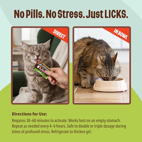 Licks Zen, L-Theanine, Savory Flavor, 30 Packets
