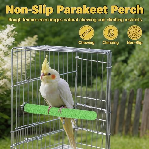 3 Pcs Parakeet Perches Set, 2 Bird Nail Trimming Perches and Colorful Swing