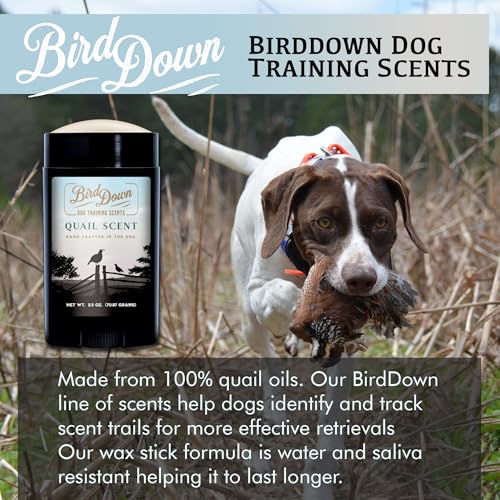Conquest Scents BirdDown Scent Stick, Dog Training Scent Wax, 2.5 oz - style: Quail
