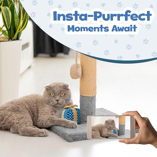 PUPROAR Gift Box Cat Birthday Toy, Plush Catnip & Crinkle Kitten Gift for Indoor Cats & Kittens