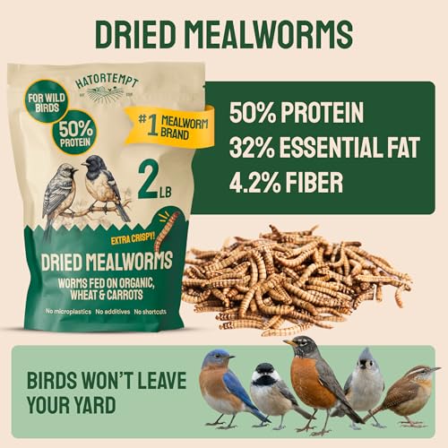 Hatortempt 2lb Dried Mealworms for Wild Birds & Chickens, Wild Bird Food - size: 2 Pound (Pack of 1)