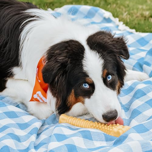 Nylabone Power Chew Textured Bone Dog Toy, Peanut Butter Flavor, X-Large - size: X-Large