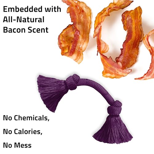 Playology Tug Rope Dog Toys for Medium Dogs - Medium, Bacon Scent - size: Medium, style: Bacon